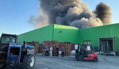 İki kişinin hayatını kaybettiği fabrika yangınında tutuklama