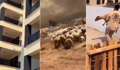 İnsanlığımızdan utandık! Yangından kaçan çoban ve koyunları siteye alınmadı
