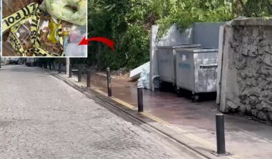 İstanbul’da çöpte yanmış bebek cesedi bulundu