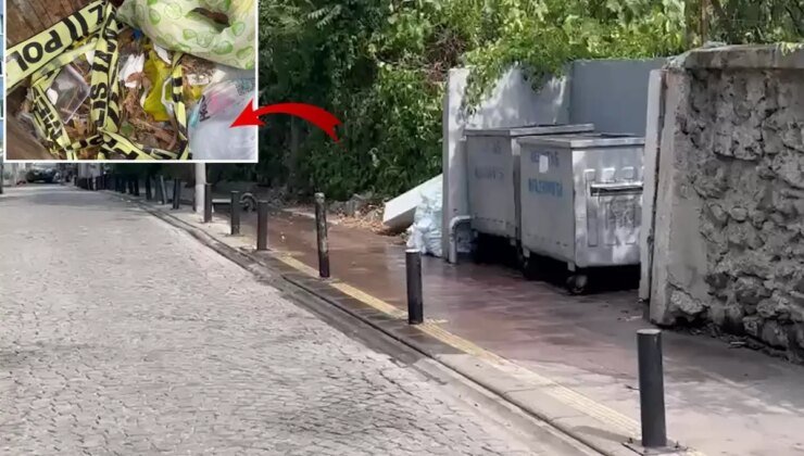 İstanbul’da çöpte yanmış bebek cesedi bulundu