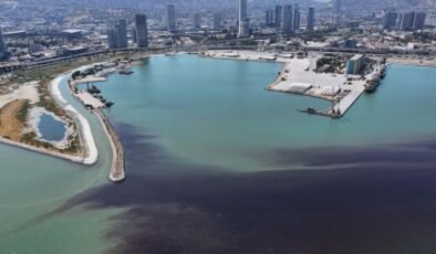 İzmir Körfezi’nde balık ölümleri yeniden başladı