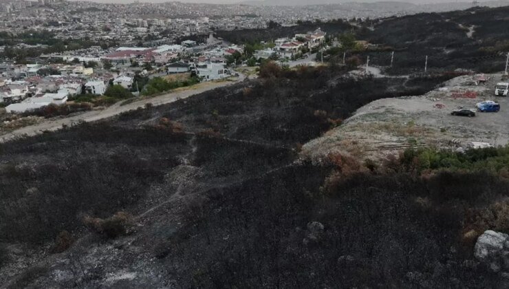 İzmir’de minibüste çıkıp ormana sıçrayan yangın kontrol altına alındı
