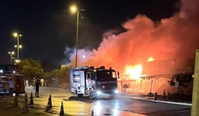 Kartal’da balıkçı barınağında yangın: 5 iş yeri hasar gördü