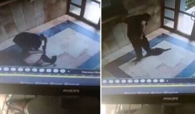 Kediyi vahşice öldüren caninin ifadesi ortaya çıktı: Onu can düşmanım gibi gördüm