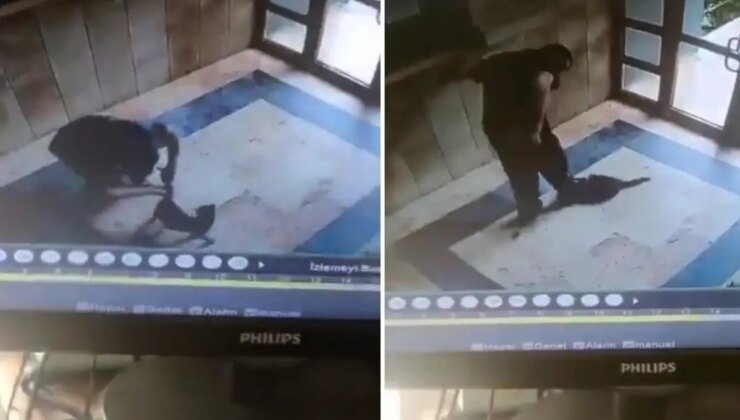 Kediyi vahşice öldüren caninin ifadesi ortaya çıktı: Onu can düşmanım gibi gördüm