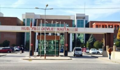 Mardin’de soluk borusuna anne sütü kaçan bebek öldü