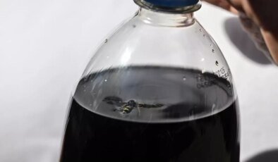 Marketten aldıkları kolanın içinden ölü arı çıktı