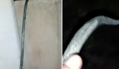 Mezarlıktaki hayır çeşmesinden evine su çekti
