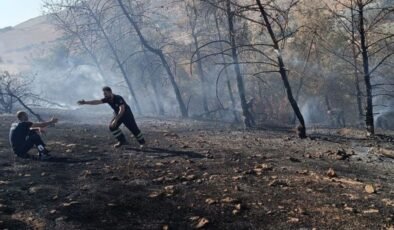 Şanlıurfa’da orman yangını çıktı