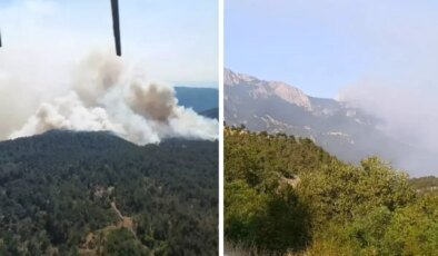 Sinop’ta orman yangını! Bir köy tahliye edildi