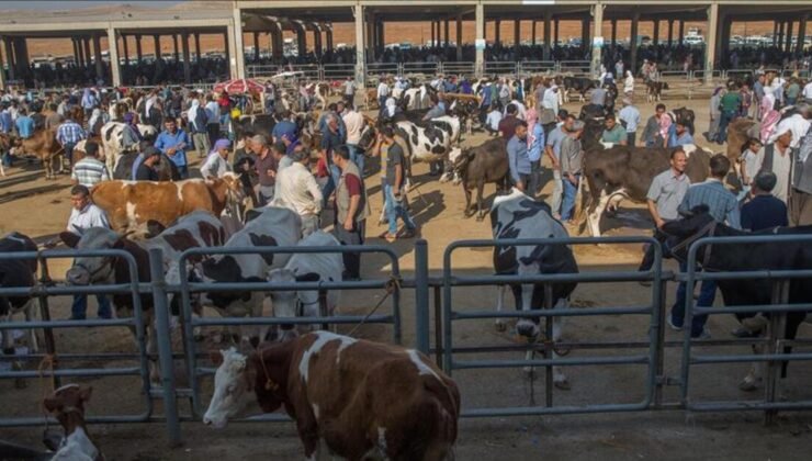 Tarım Bakanlığı’ndan şap hastalığına ilişkin açıklama: 24 ildeki hayvan pazarları yeniden açıldı