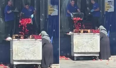 Zincir market kasalar dolusu domatesi çöpe döktü