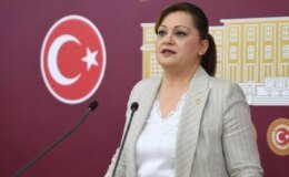 Burcu Köksal’ın yargılandığı "böcek" davası hakkında karar verildi
