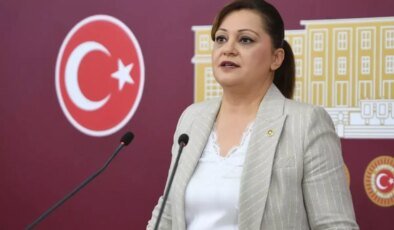 Burcu Köksal’ın yargılandığı "böcek" davası hakkında karar verildi