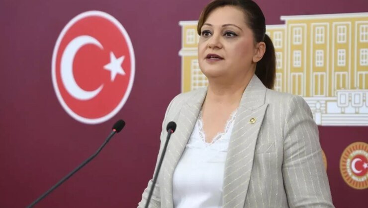 Burcu Köksal’ın yargılandığı "böcek" davası hakkında karar verildi